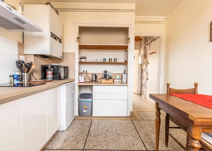 Appartement Cosy T1 Lavoisier Equipee Avec Balcon Cl-fd *